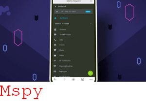 Google Mspy problem.ze.strzalka.nawigacyjna.jest Pid Jatem